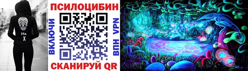 кракен зеркало  Балахна  Галлюциногенные грибы Psilocybine cubensis 